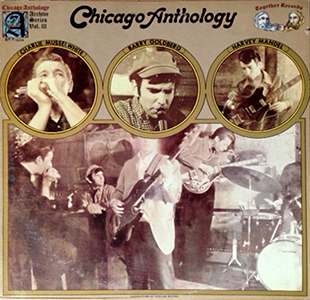 Chicago Anthology by Goldberg, Museelwhite and Mandel